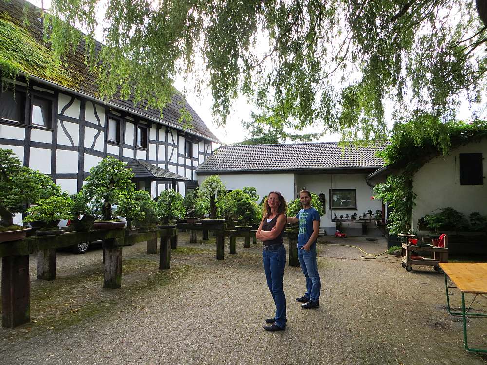 Bild