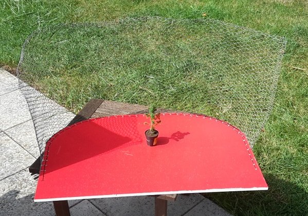 Rückwand Zwischenstand.jpg (202.01 KiB) 2334 mal betrachtet Größenvergleich Baum - Grundriss